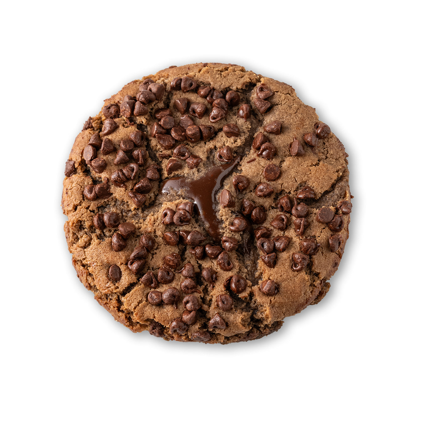 Chocolate Massacre Cookie Box